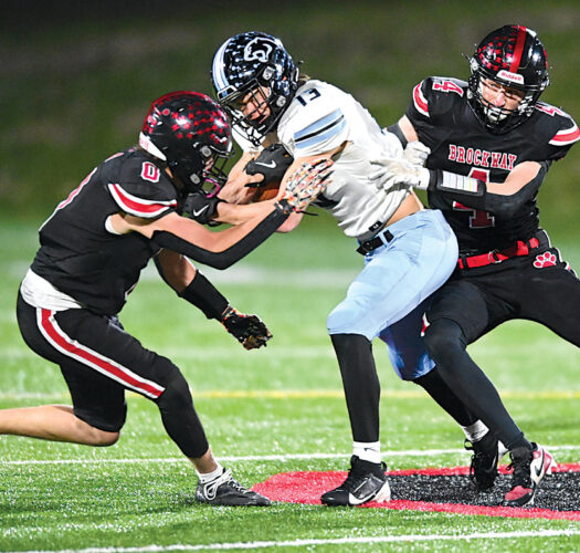 Penn Cambria Panthers roll into state quarterfinals